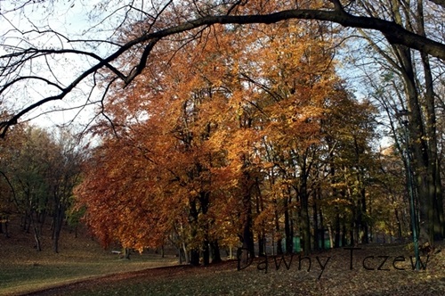 11e.jpg