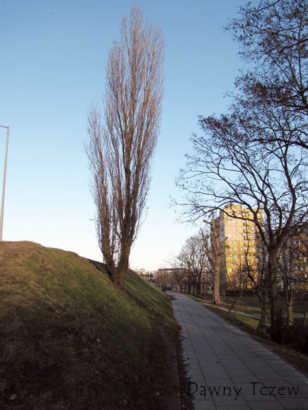 samotnik.jpg