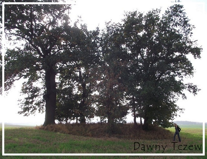DSCF2876.JPG