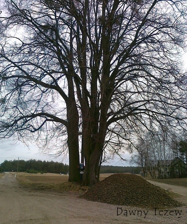 20120320826.jpg