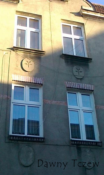 dąb.cyprys.JPG