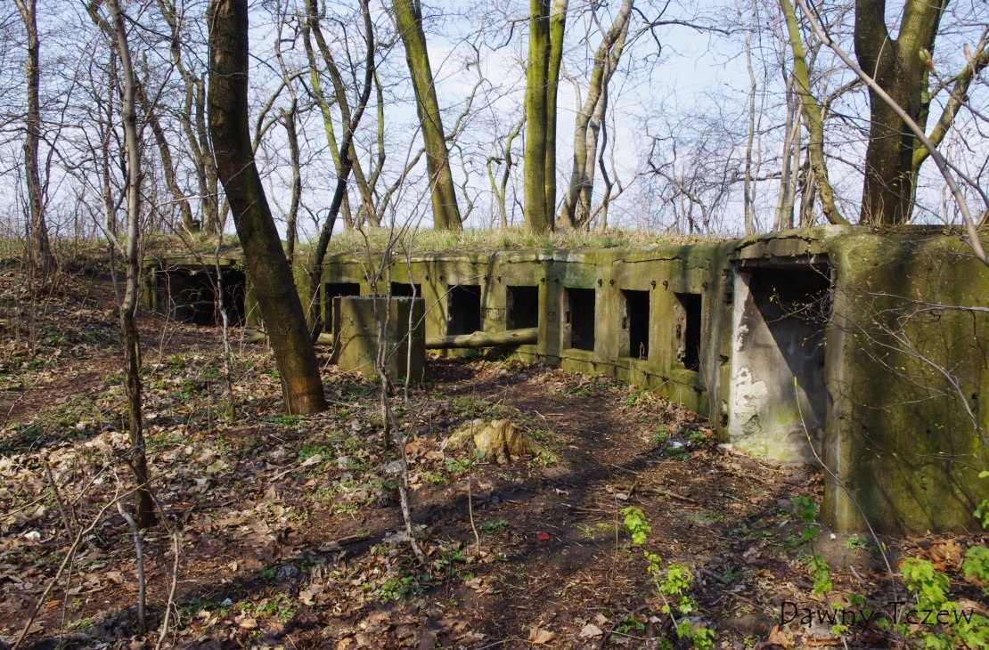 Krąg kierunkowy.1.jpg