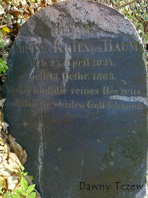 20120427873.jpg
