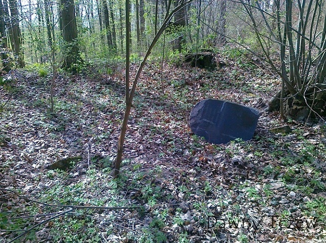 20120427877.jpg