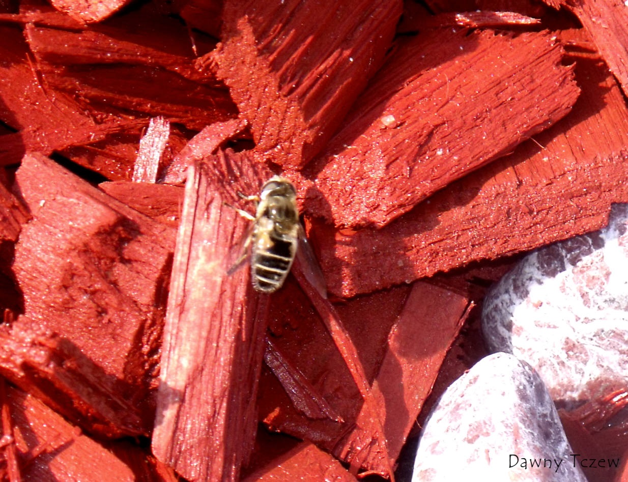DSCF5431.jpg
