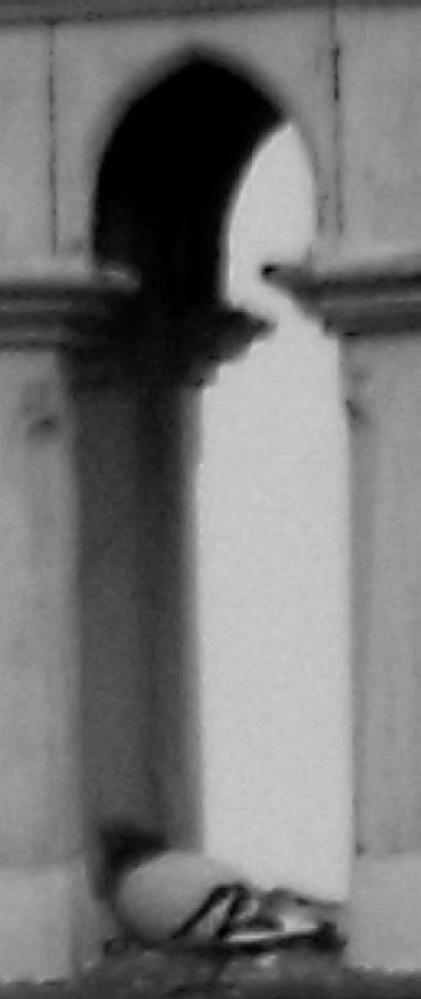 DSCF5626.jpg
