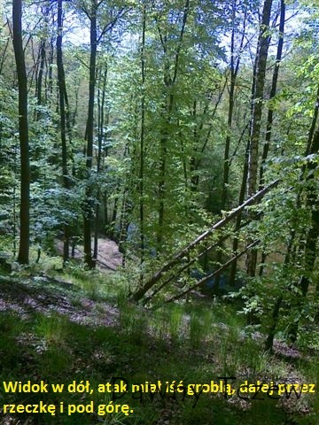 20120508903.jpg