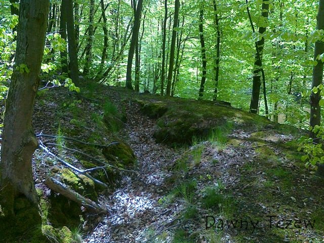 20120508904.jpg