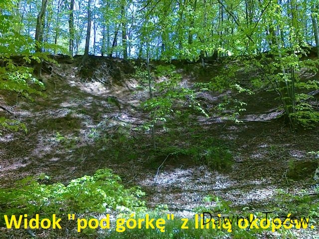 20120508905.jpg