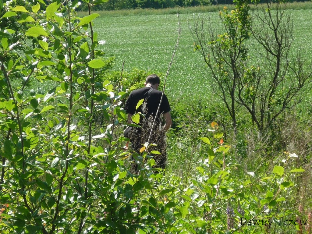robaczek.jpg