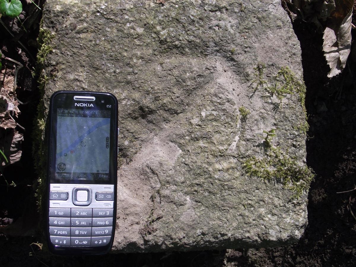 DSCF3743.JPG