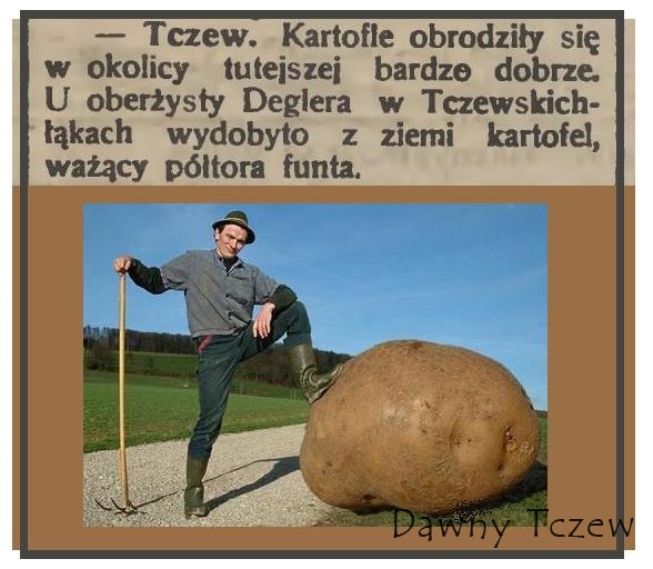 Gazeta Toruńska 10 09 1915.JPG