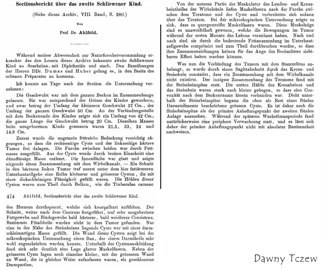 Schliewener Kind Sekcja 1877.JPG