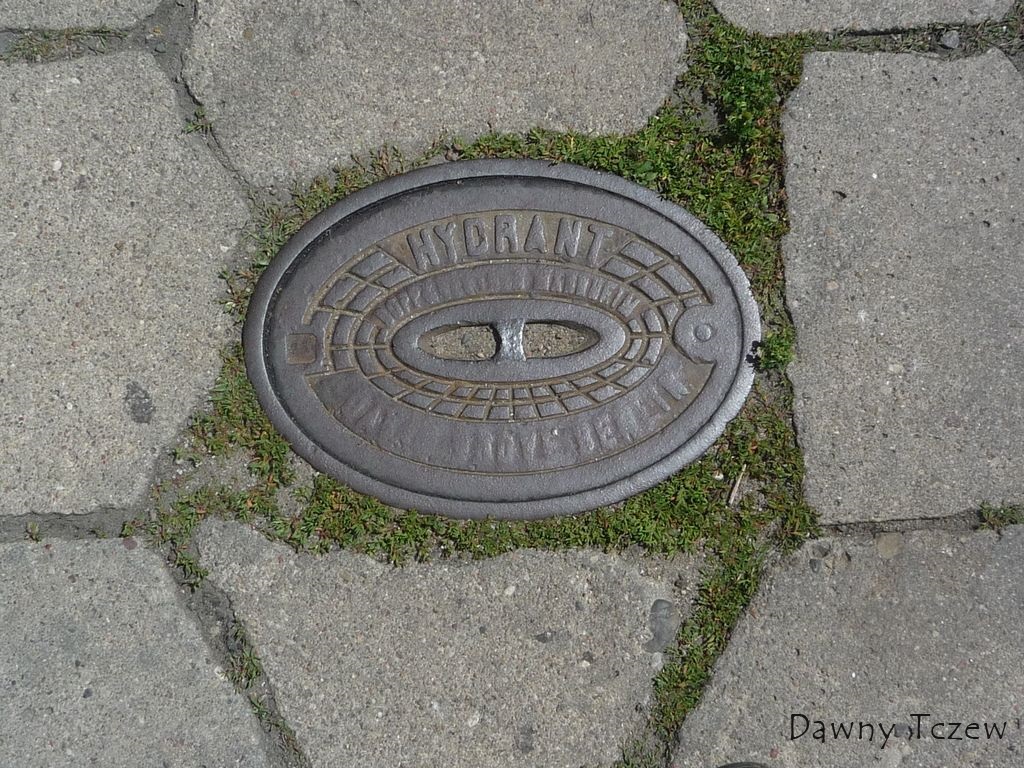 strzelecka 1.jpg