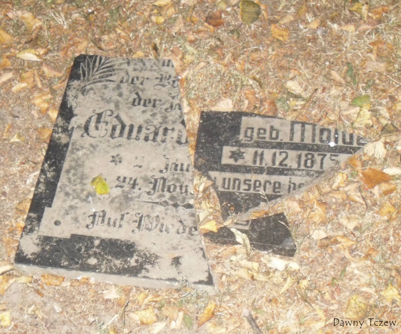 SDC14240.jpg