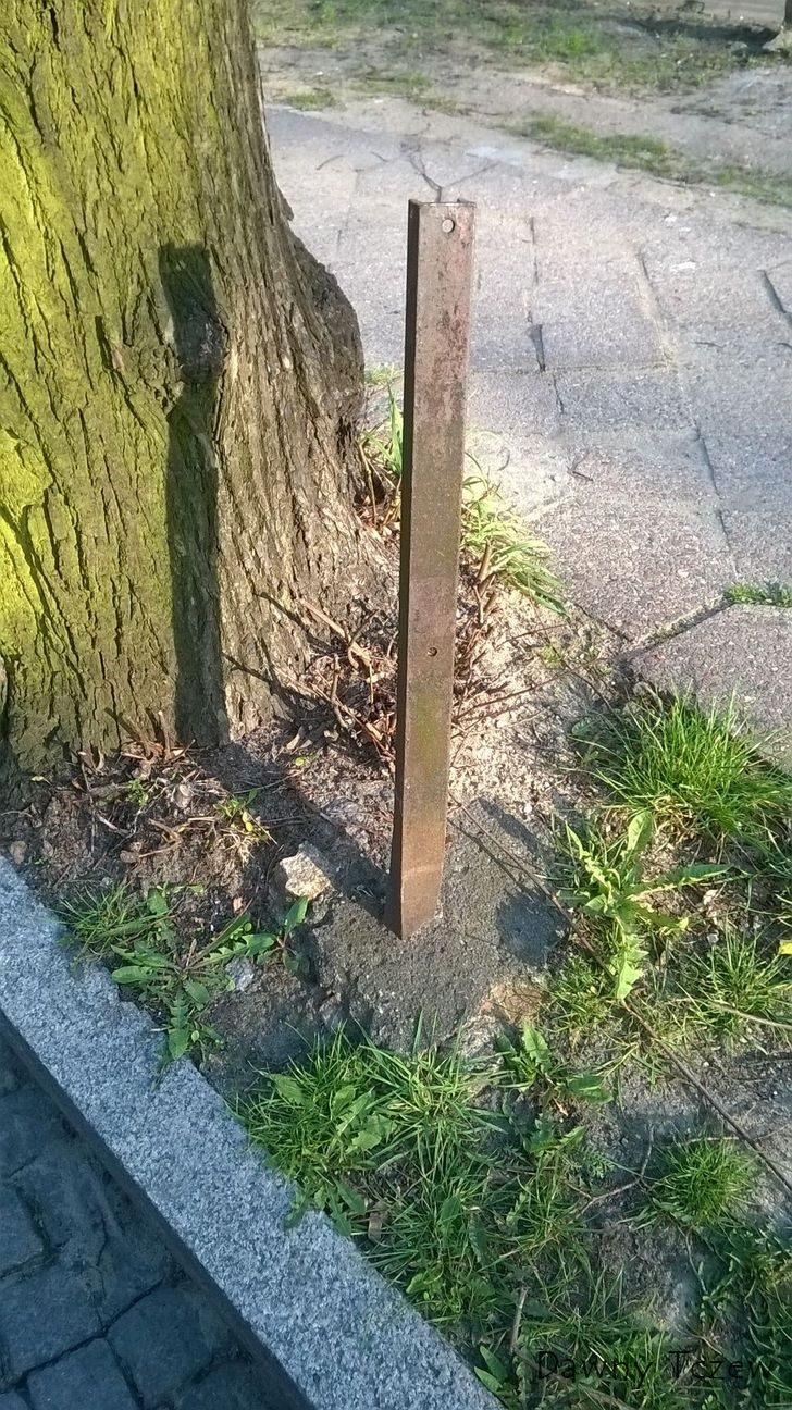 śmieć.jpg