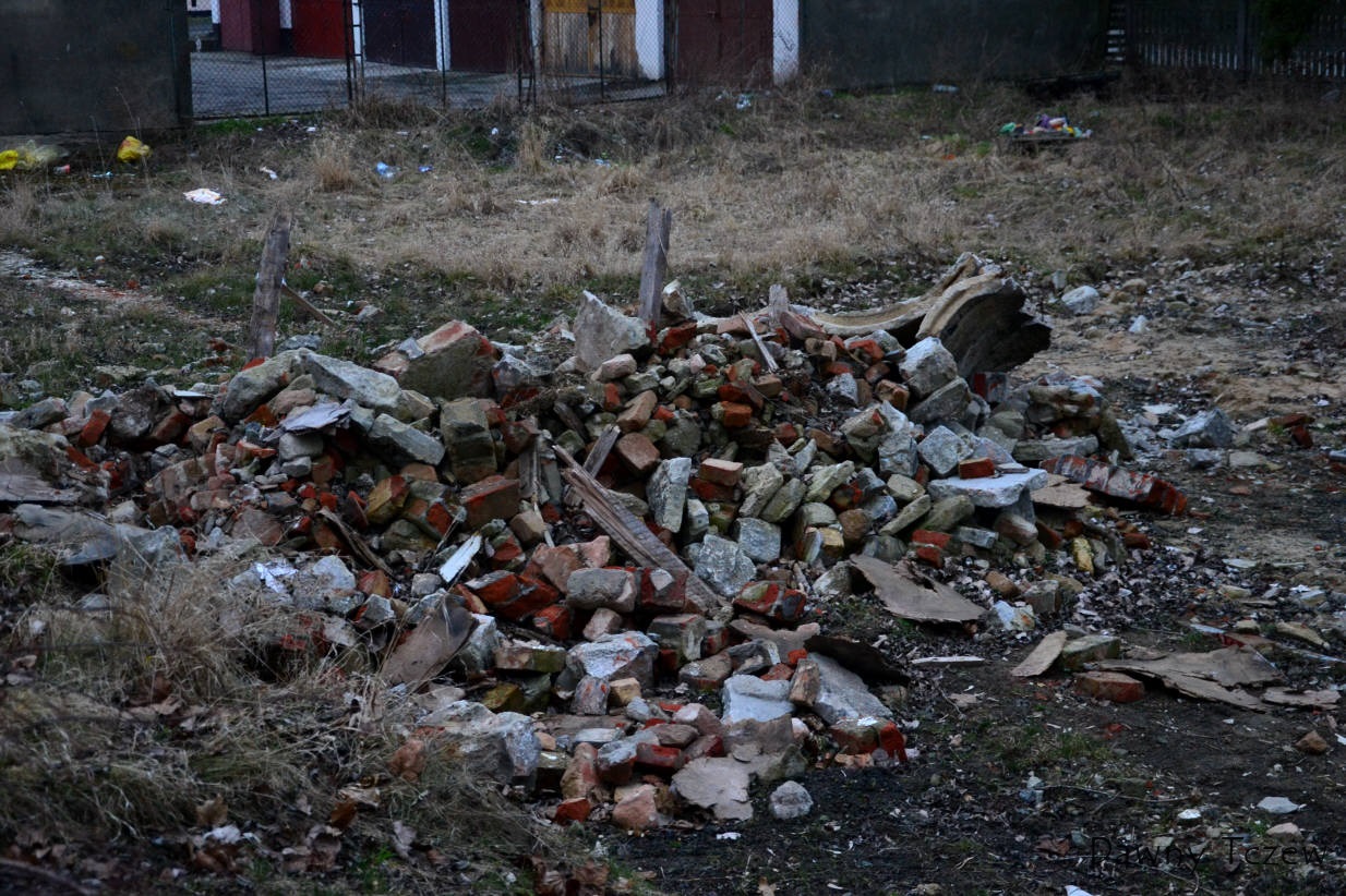 DSC_7817.jpg