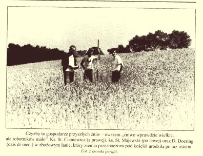 działka.jpg