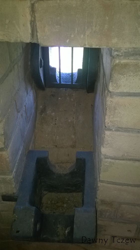 WP_20140710_011.jpg