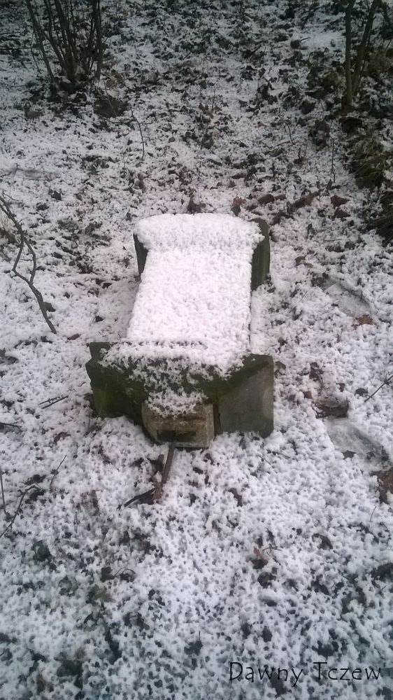 WP_20150131_004.jpg
