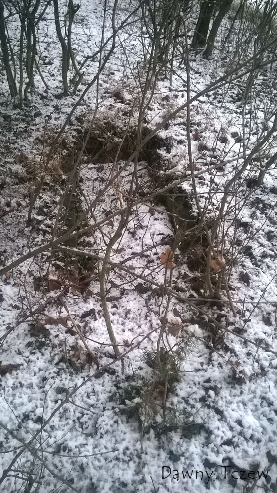 WP_20150131_005.jpg