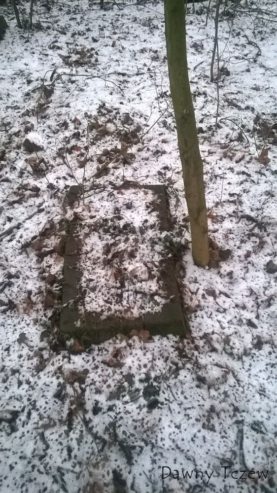 WP_20150131_009.jpg