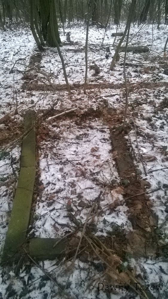 WP_20150131_013.jpg