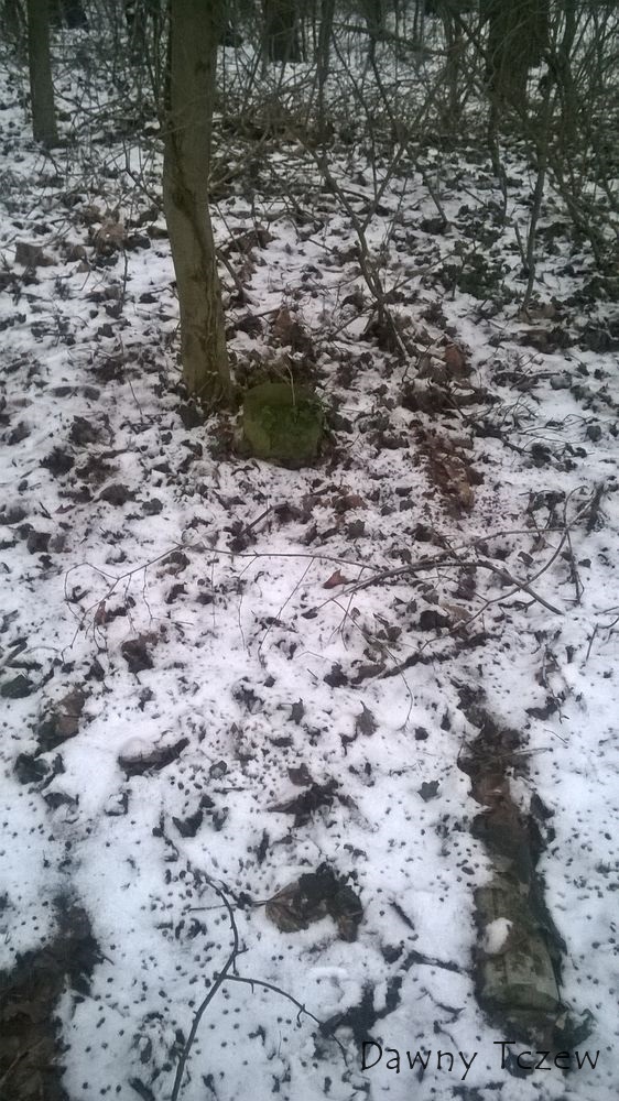 WP_20150131_015.jpg