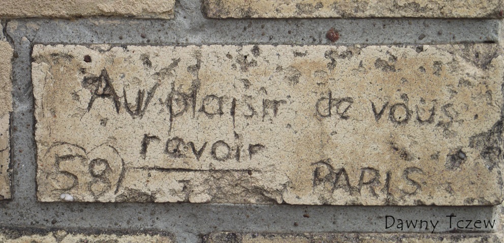 DSCF5555.JPG