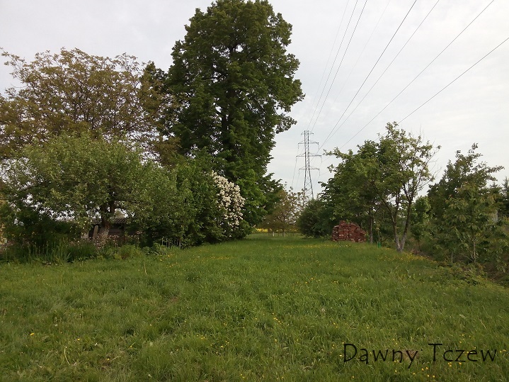 IMG_20150528_174707.jpg