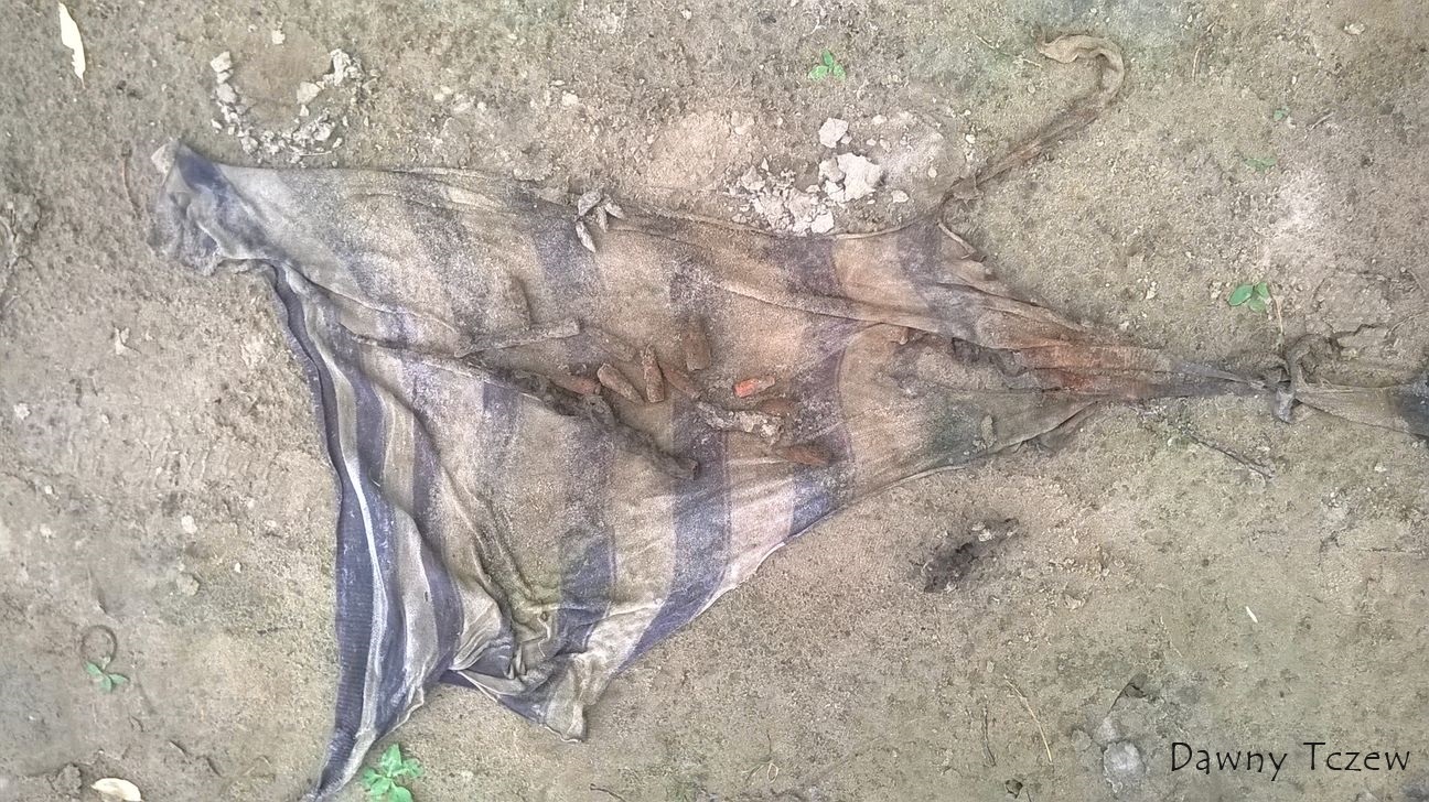 WP_20150828_001.jpg
