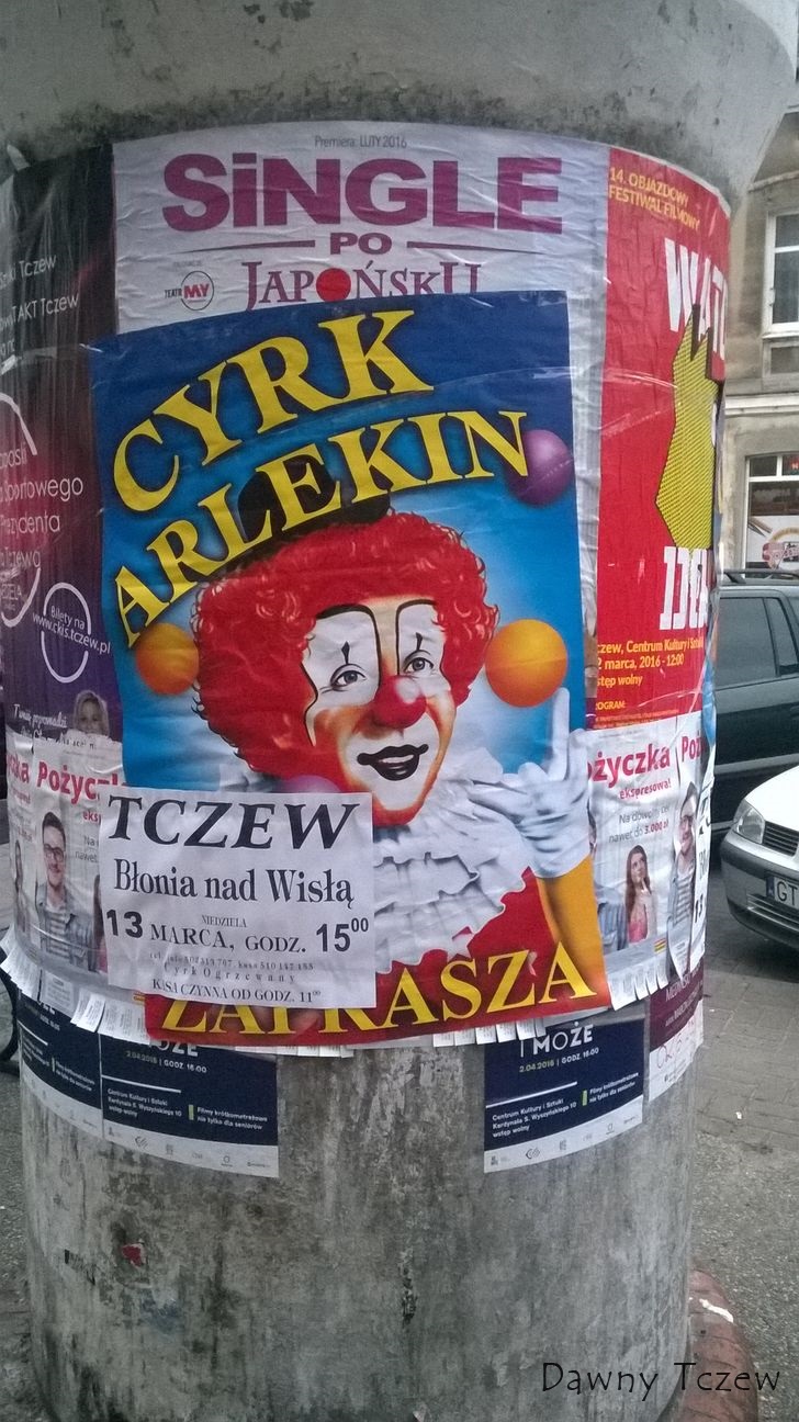 błonia.jpg