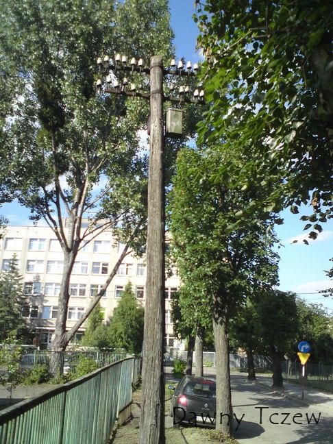 samotnik.jpg
