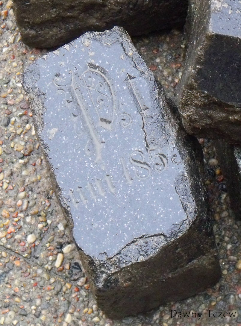 DSCF5518.jpg