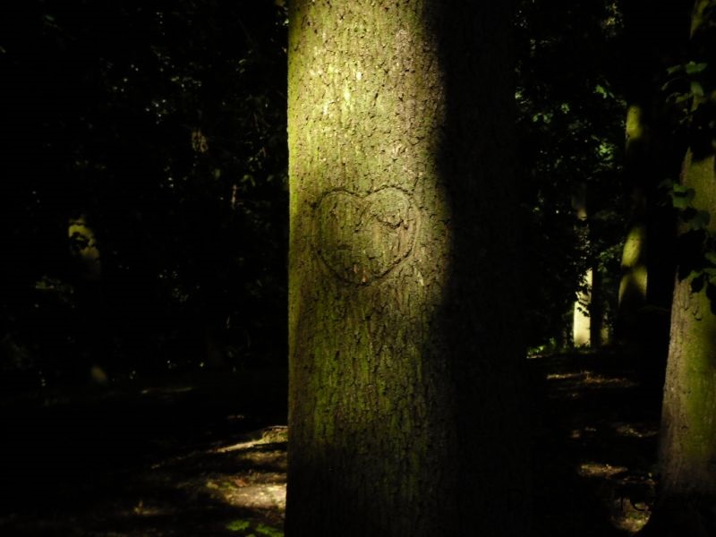 SAM_0870.JPG