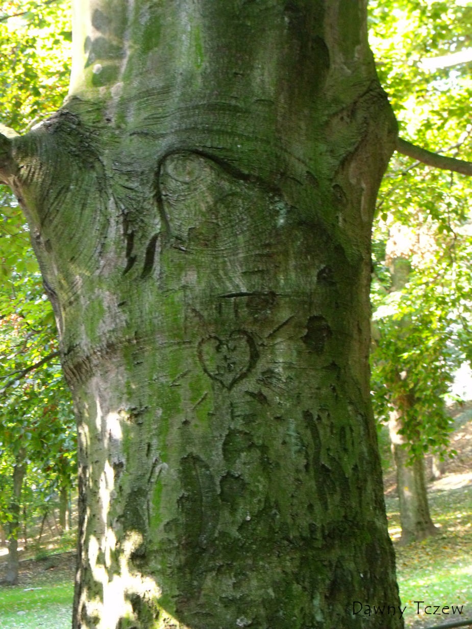 DSCF8455.jpg