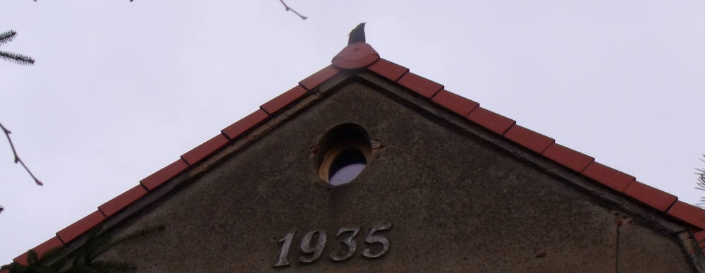 DSCF1247.jpg