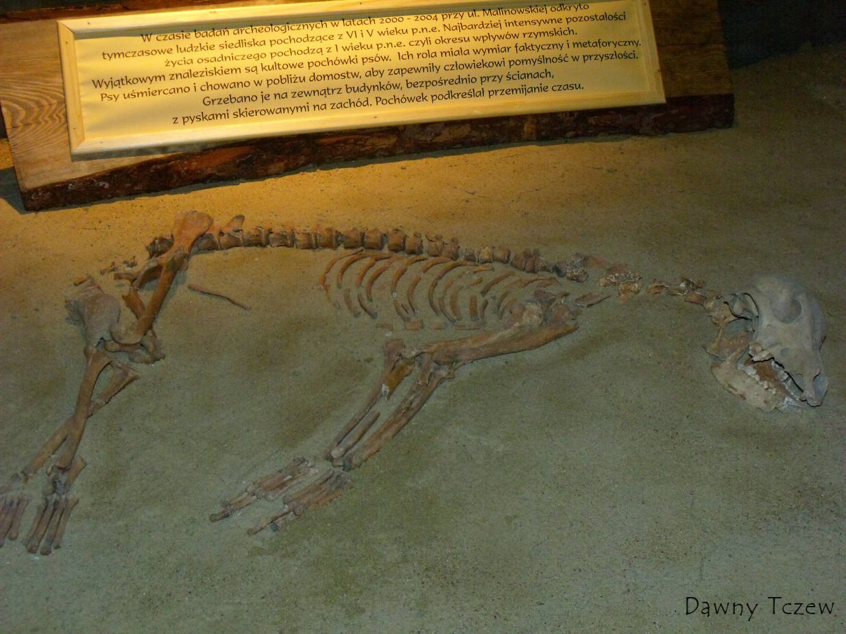 DSCF3038.jpg