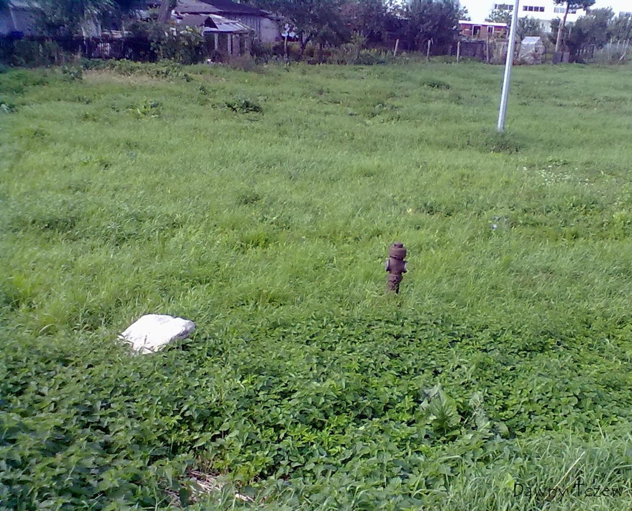 Hydrant.jpg