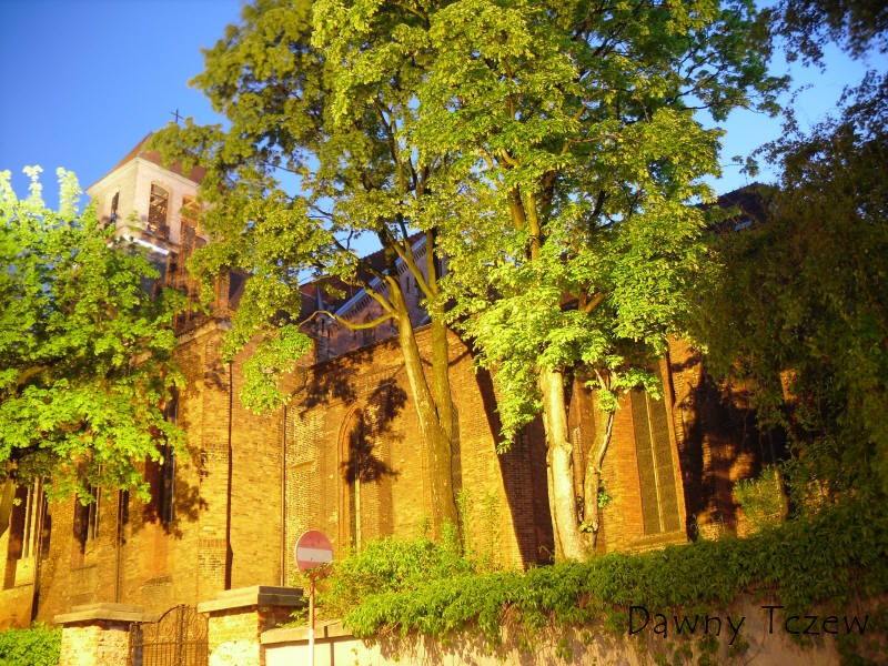 SDC11657.jpg