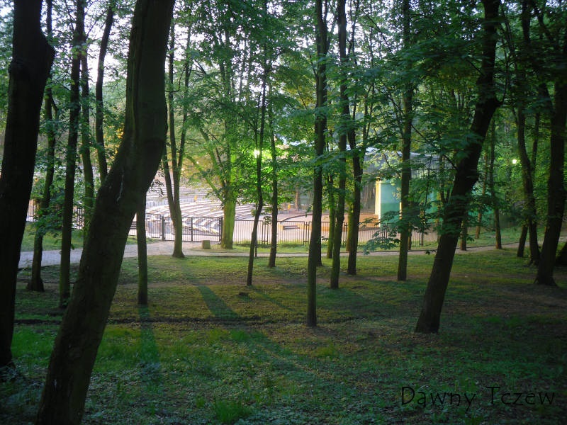 SDC11532.jpg