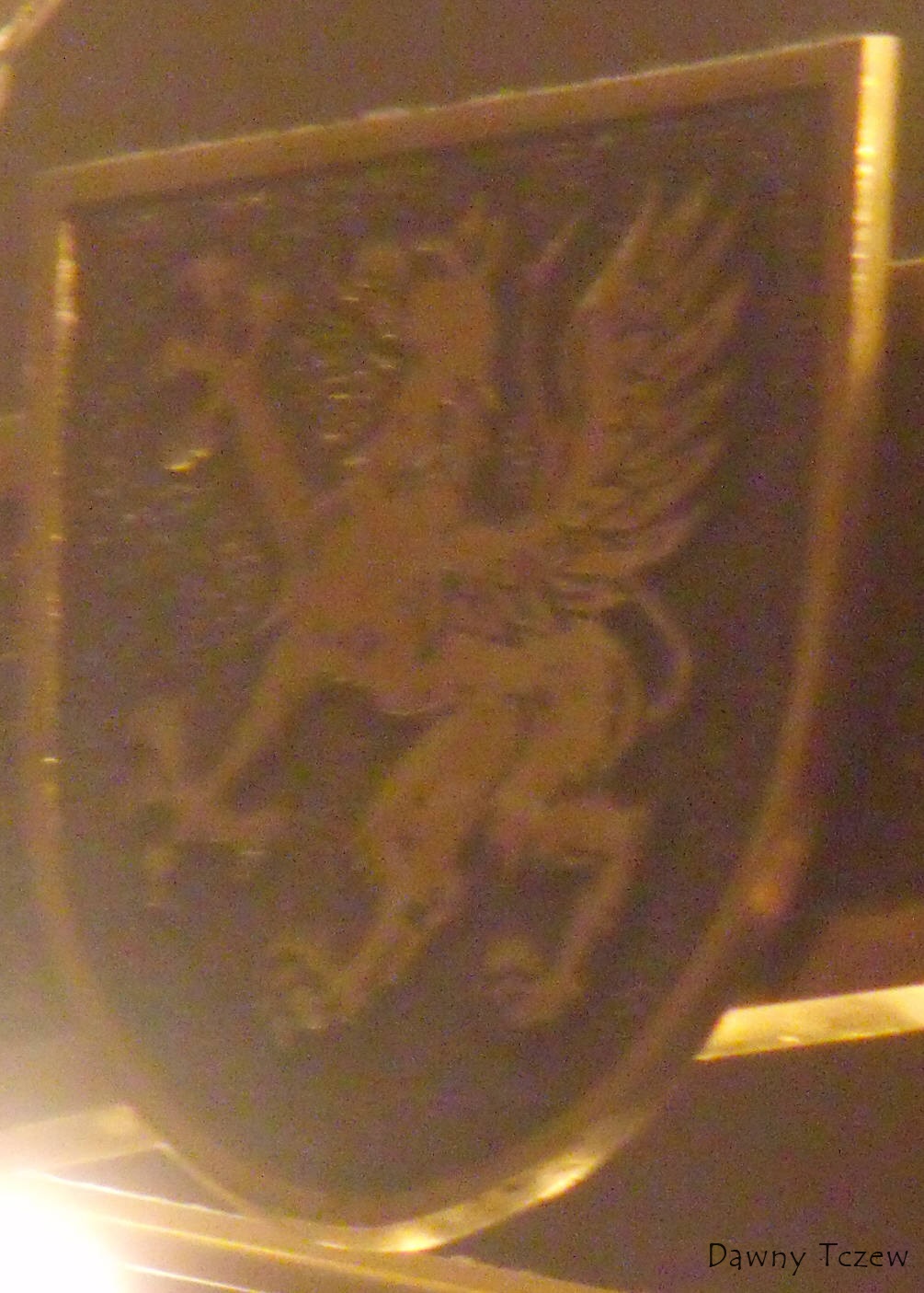 DSCF7050.jpg