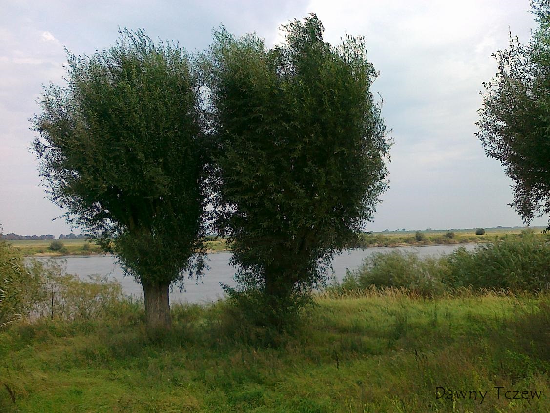 20110918638.jpg