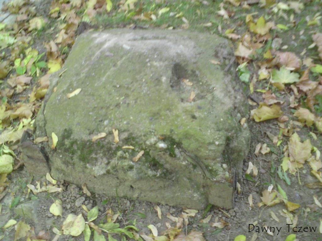 podstawa.jpg