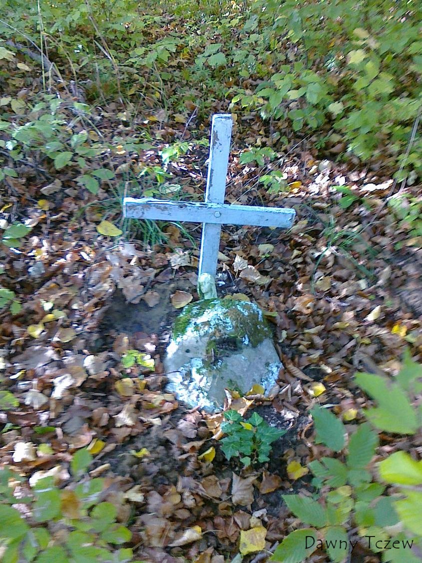 BycMozeZiegert.jpg