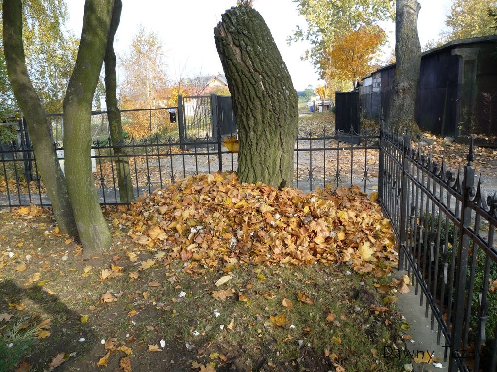 efekt.jpg