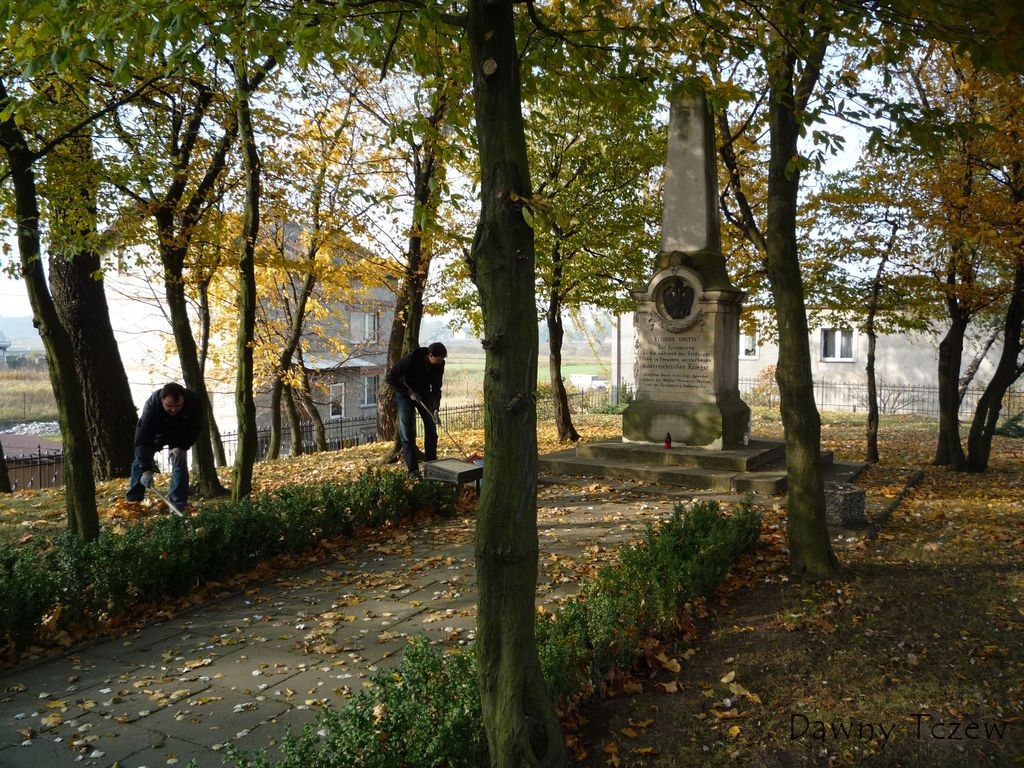 bawełna.jpg