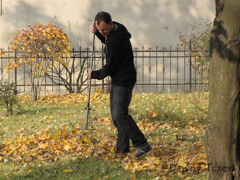 liście 2.jpg