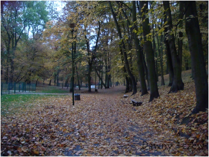 park 01,11,2011 d.jpg
