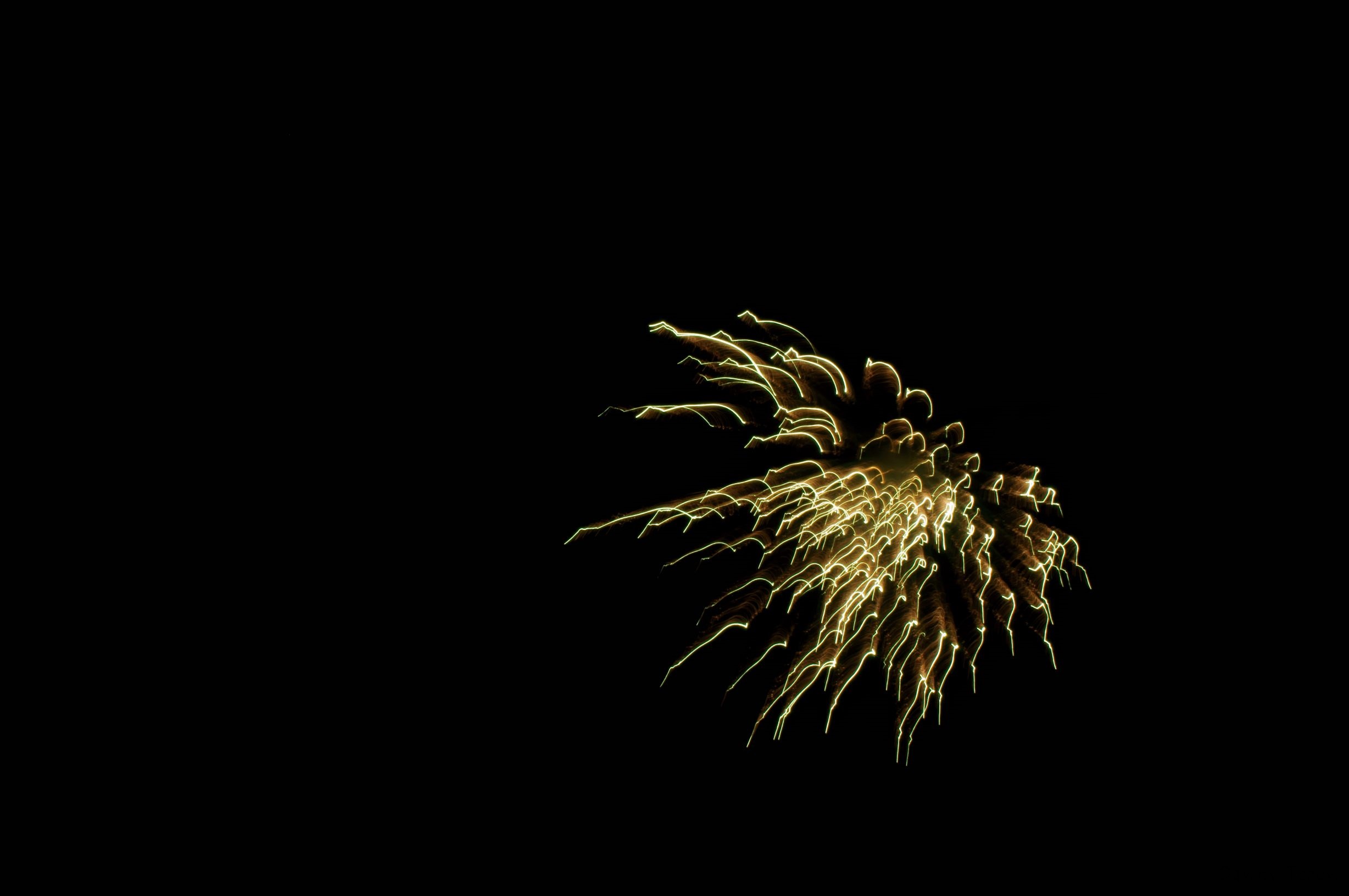 DSC04016.jpg